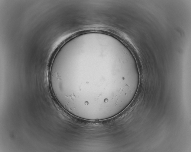 X0000112881320200909111435