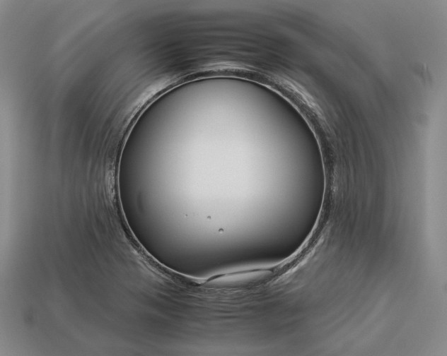 X0000112881321200909111435