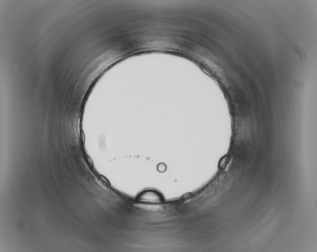 X0000112881322200909111435