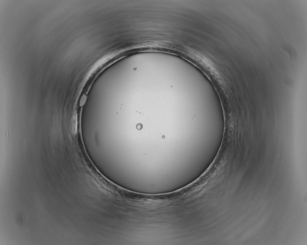 X0000112881324200909111435