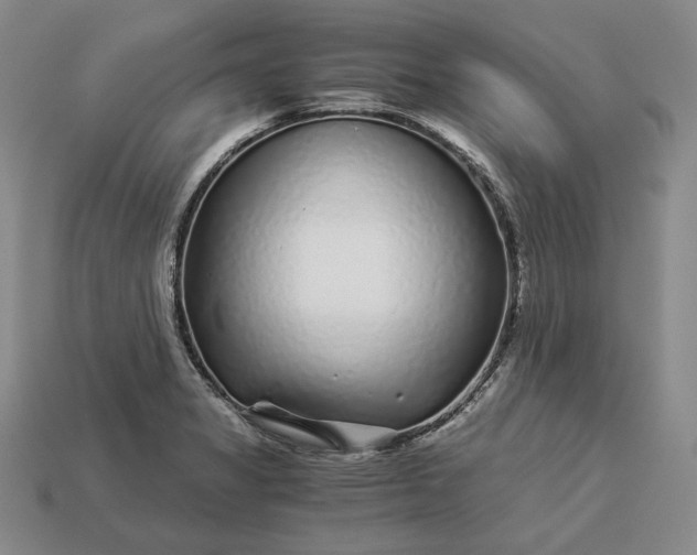 X0000112881325200909111435