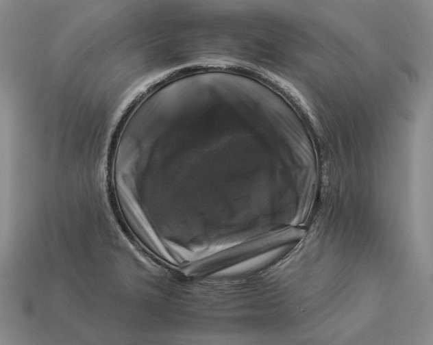 X0000112881327200909111435