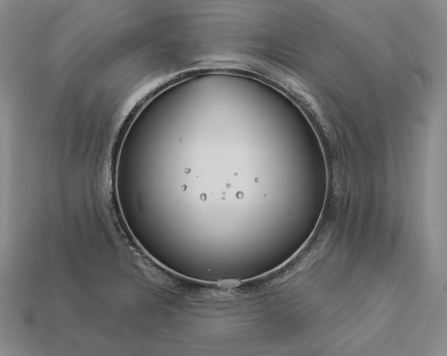 X0000112881328200909111435