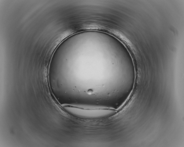 X0000112881329200909111435