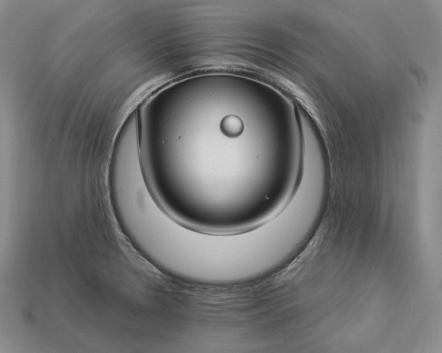 X0000112881330200909111435