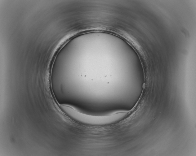 X0000112881332200909111435