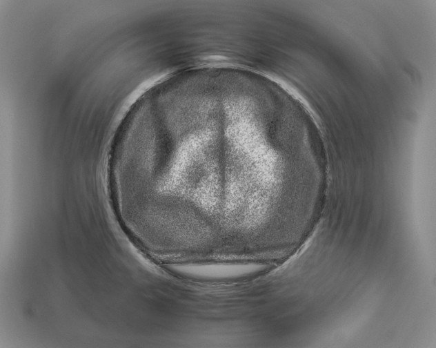 X0000112881333200909111435