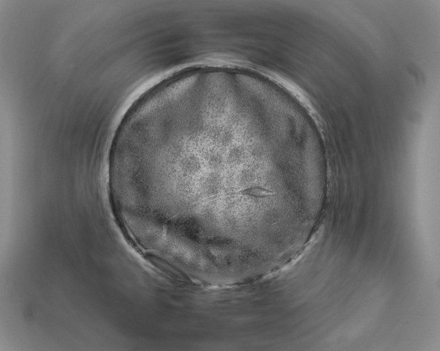 X0000112881335200909111435