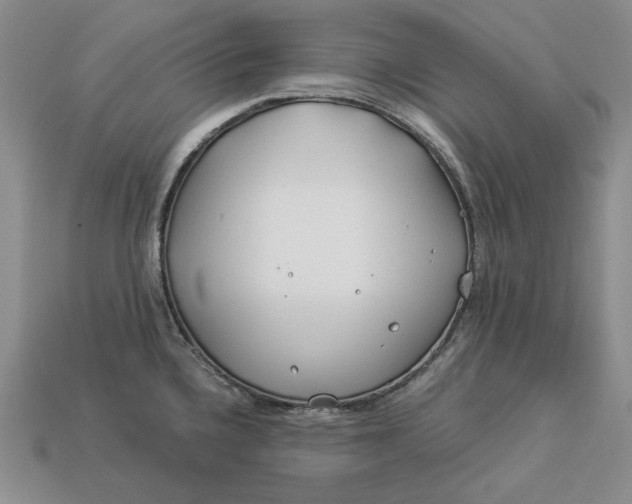 X0000112881336200909111435