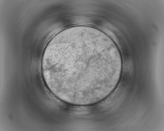 X0000112881338200909111435