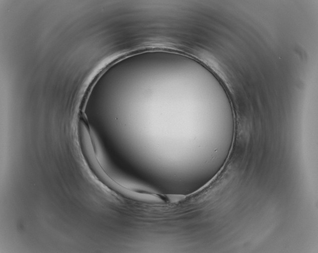 X0000112881339200909111435