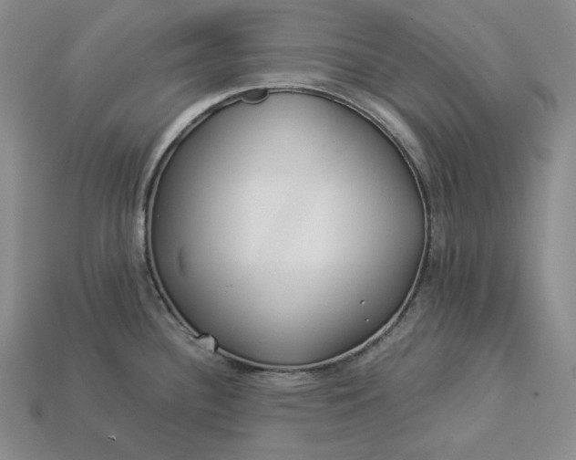 X0000112881340200909111435