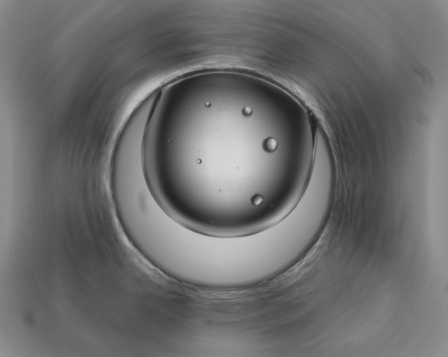 X0000112881342200909111435