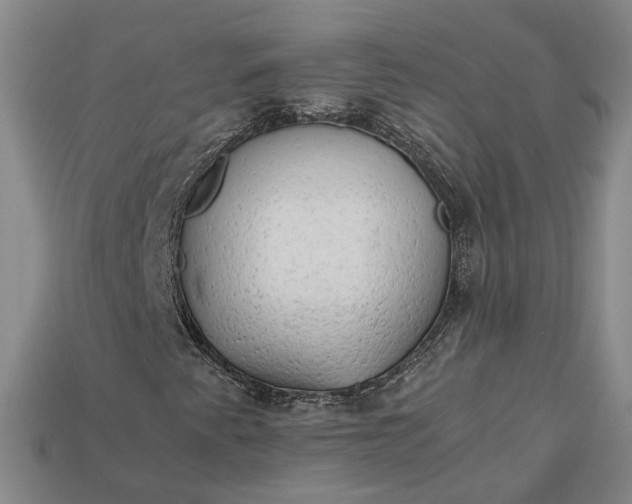 X0000112881345200909111434