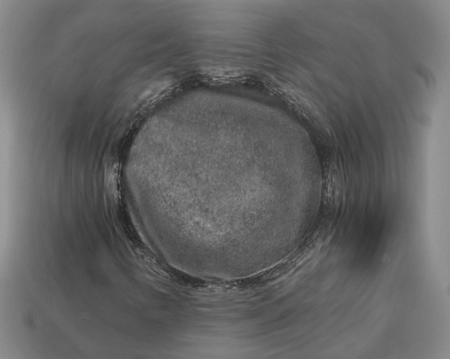 X0000112881346200909111434