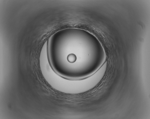 X0000112881349200909111434