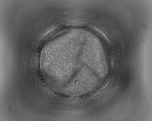 X0000112881350200909111434