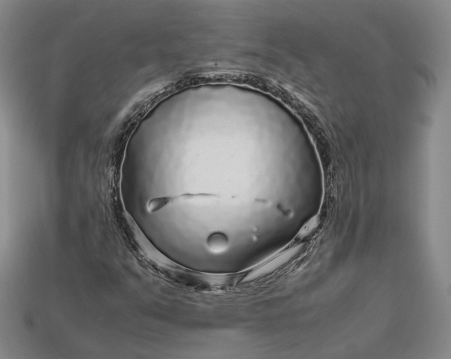 X0000112881351200909111434