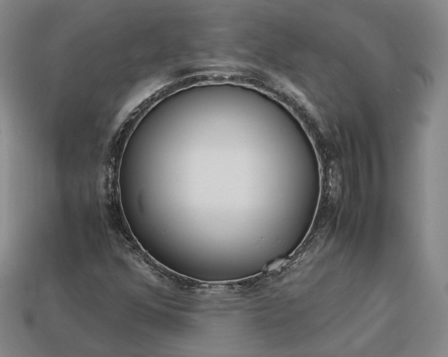 X0000112881352200909111434