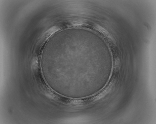 X0000112881353200909111434