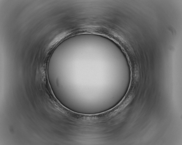 X0000112881354200909111434