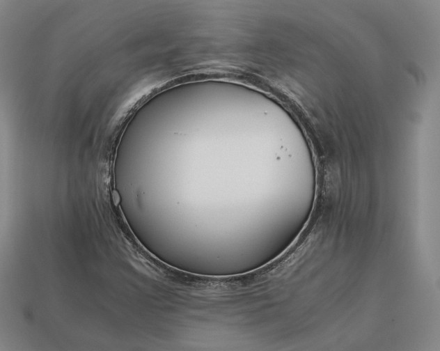 X0000112881355200909111434