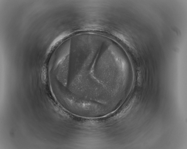 X0000112881358200909111434