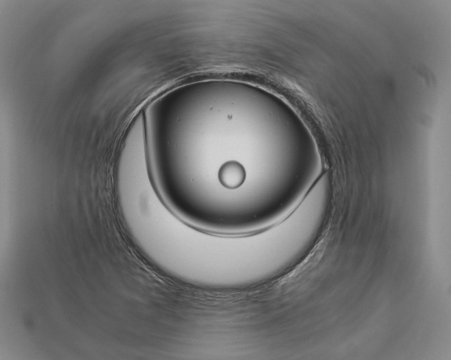 X0000112881361200909111434