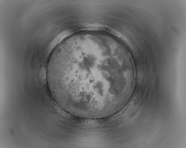 X0000112881362200909111434