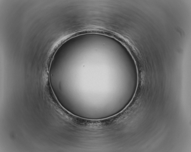 X0000112881363200909111434