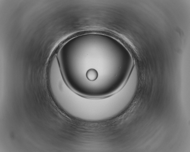 X0000112881364200909111434