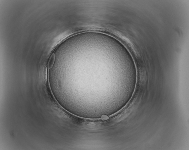 X0000112881365200909111434