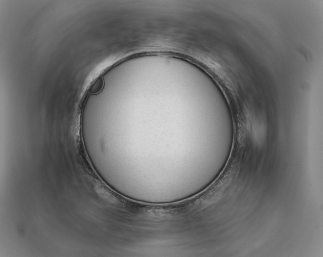 X0000112881366200909111434