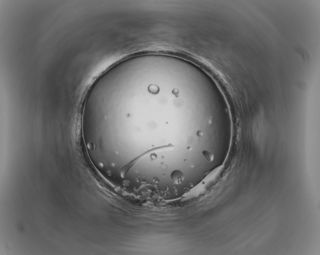 X0000112881367200909111434