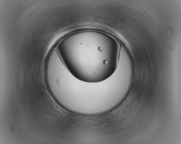 X0000112881368200909111434