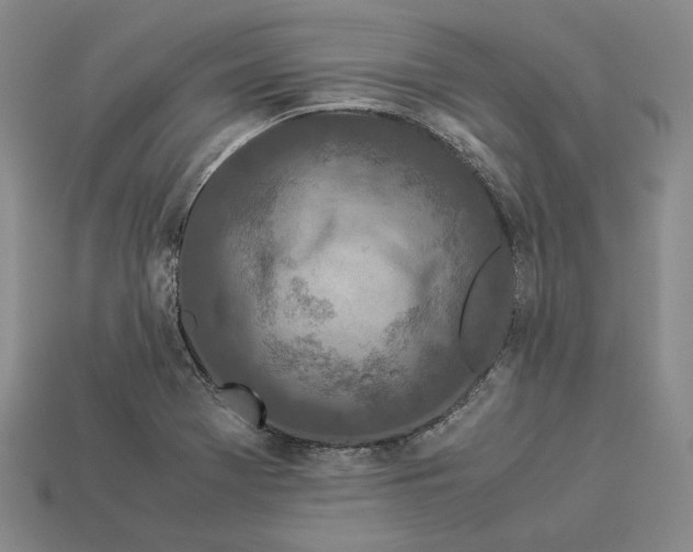 X0000112881369200909111434