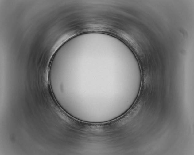 X0000112881370200909111434