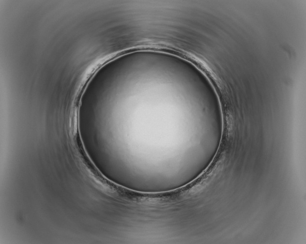 X0000112881371200909111434