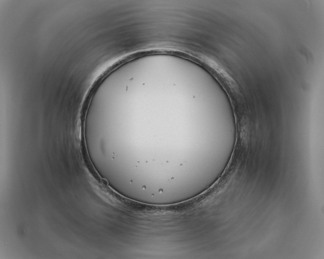 X0000112881372200909111434