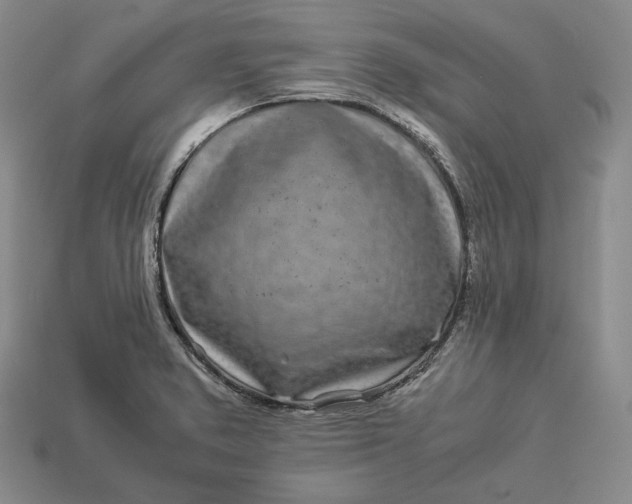 X0000112881373200909111434