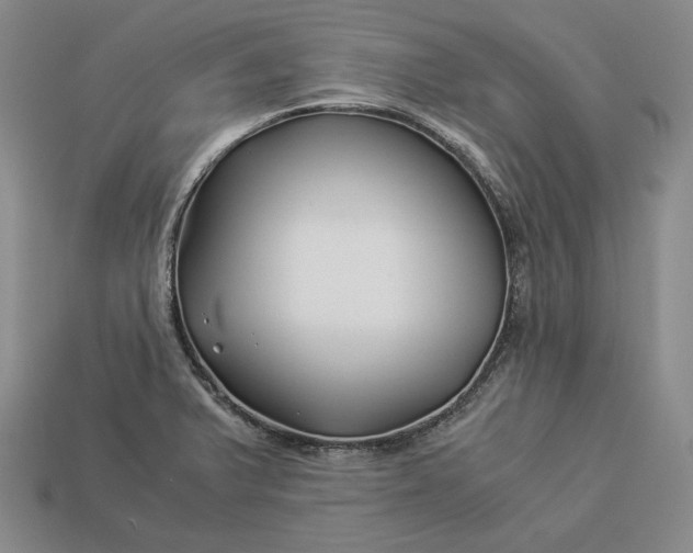 X0000112881375200909111434