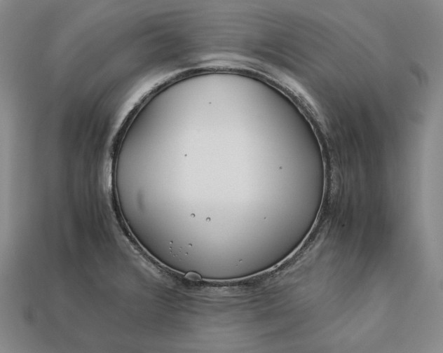 X0000112881376200909111434