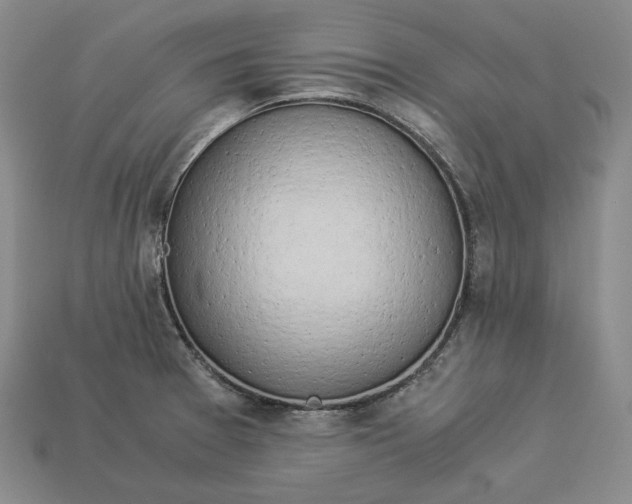 X0000112881377200909111434