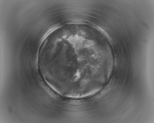 X0000112881378200909111434