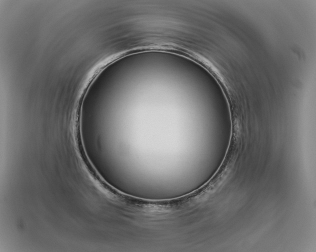 X0000112881379200909111434