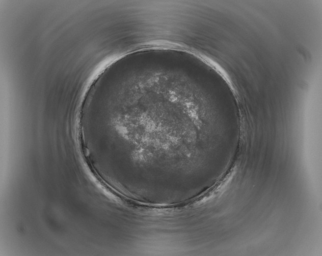 X0000112881381200909111434