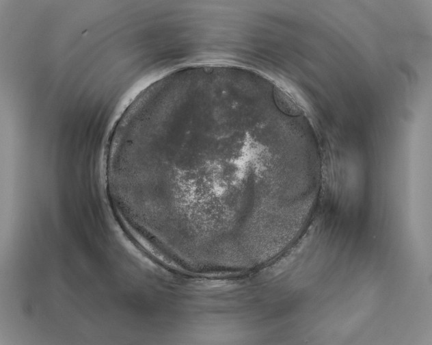 X0000112881382200909111434