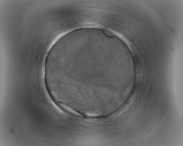 X0000112881383200909111434