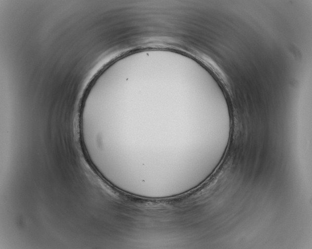 X0000112881384200909111434