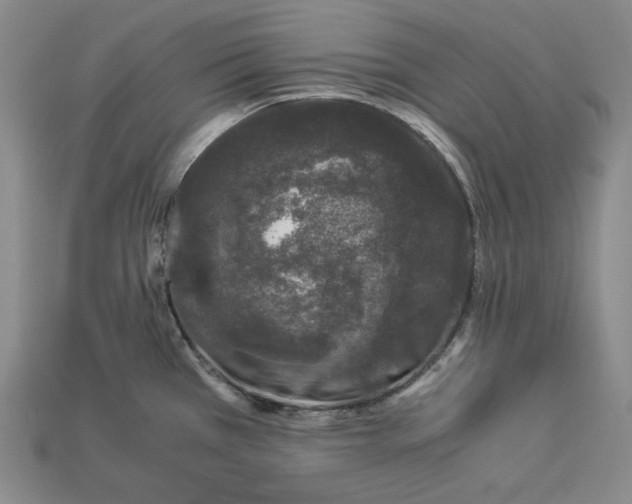 X0000112881385200909111434